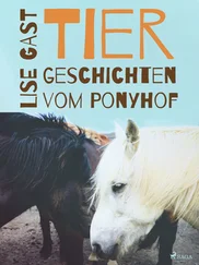 Lise Gast - Tiergeschichten vom Ponyhof