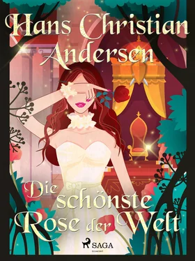 Hans Christian Die schönste Rose der Welt обложка книги