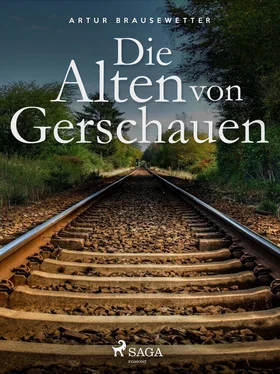 Artur Brausewetter Die Alten von Gerschauen обложка книги