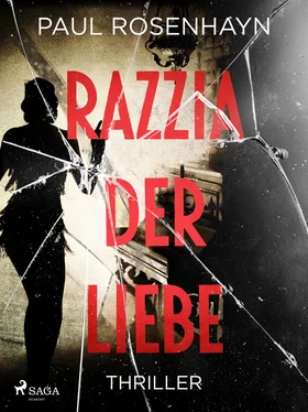 Paul Rosenhayn Razzia der Liebe - Thriller обложка книги