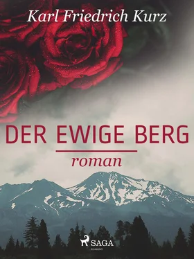 Karl Friedrich Kurz Der ewige Berg обложка книги