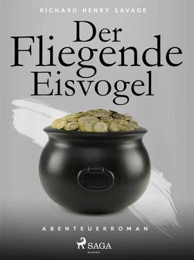 Richard Henry Savage Der fliegende Eisvogel обложка книги