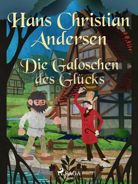 Hans Christian Die Galoschen des Glücks обложка книги