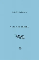 Jesús Revilla - Vuelo de prueba