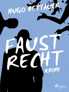 Hugo Bettauer Faustrecht обложка книги