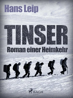 Hans Leip Tinser обложка книги