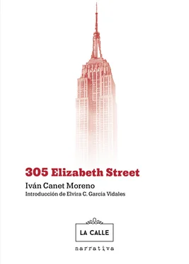 Iván Canet Moreno 305 Elizabeth Street обложка книги