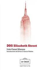Iván Canet Moreno - 305 Elizabeth Street