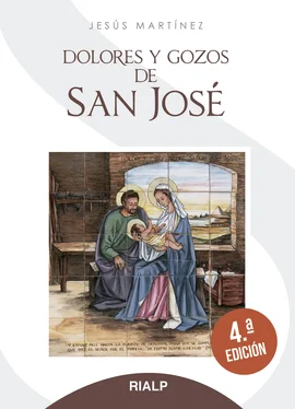 Jesús Martínez García Dolores y gozos de San José обложка книги