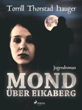 Torill Thorstad Hauger Mond über Eikaberg обложка книги