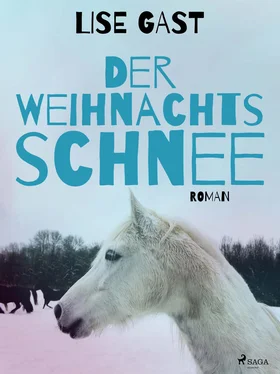 Lise Gast Der Weihnachtsschnee обложка книги