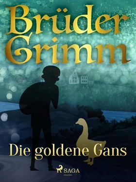 Brüder Grimm Die goldene Gans обложка книги