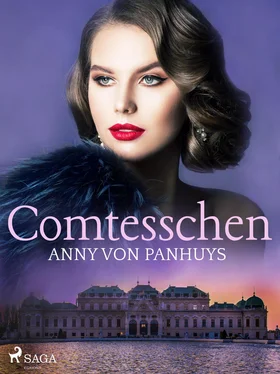 Anny von Panhuys Comtesschen обложка книги
