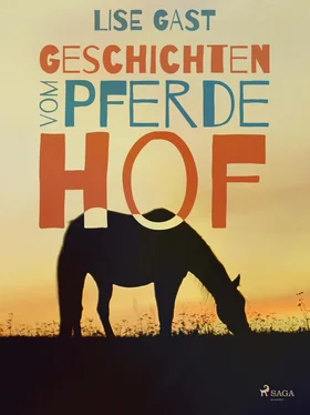 Lise Gast Geschichten vom Pferdehof обложка книги