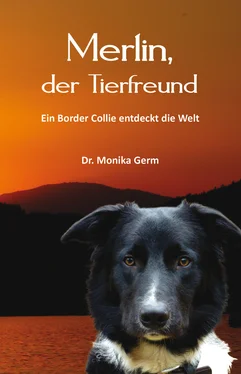 Dr. Monika Germ Merlin, der Tierfreund обложка книги