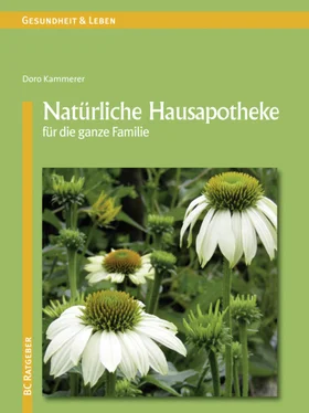 Doro Kammerer Natürliche Hausapotheke für die ganze Familie обложка книги