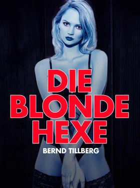 Bernd Tillberg Die blonde Hexe обложка книги