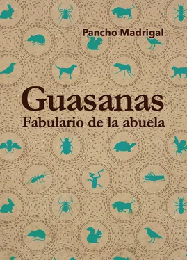Francisco Javier Madrigal Toribio Guasanas обложка книги