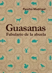 Francisco Javier Madrigal Toribio - Guasanas