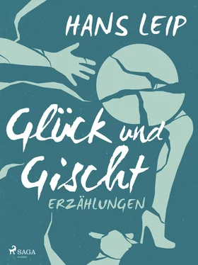 Hans Leip Glück und Gischt обложка книги
