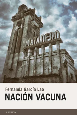 Fernanda García Lao Nación Vacuna обложка книги