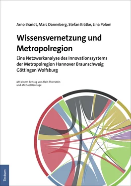 Stefan Krätke Wissensvernetzung und Metropolregion обложка книги
