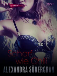 Alexandra Södergran - Scharf wie Chili - Erotische Novelle