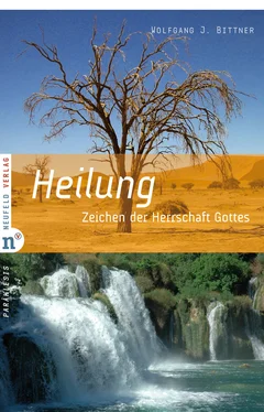 Wolfgang J Bittner Heilung обложка книги