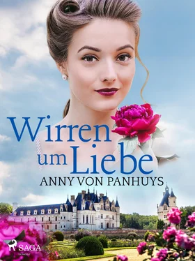 Anny von Panhuys Wirren um Liebe обложка книги