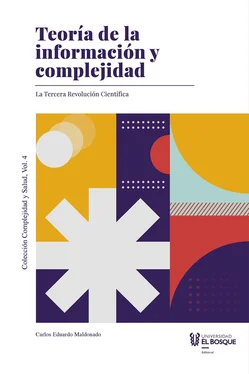 Carlos Eduardo Maldonado Castañeda Teoría de la información y complejidad обложка книги
