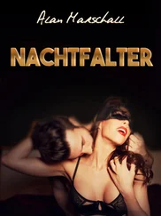 Alan Marschall - Nachtfalter