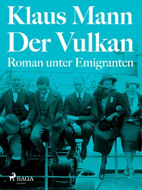 Klaus Mann Der Vulkan. Roman unter Emigranten обложка книги