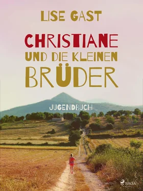 Lise Gast Christiane und die kleinen Brüder