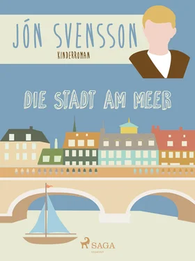 Jón Svensson Die Stadt am Meer - Nonni's neue Erlebnisse обложка книги