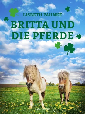 Lisbeth Pahnke Britta und die Pferde обложка книги