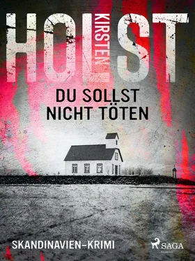 Kirsten Holst Du sollst nicht töten - Skandinavien-Krimi обложка книги