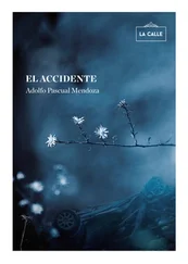 Adolfo Pascual Mendoza - El accidente