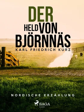 Karl Friedrich Kurz Der Held von Björnnäs. Nordische Erzählung обложка книги