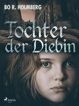 Bo R. Holmberg Tochter der Diebin обложка книги