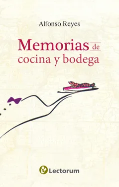 Alfonso Reyes Memorias de cocina y bodega обложка книги