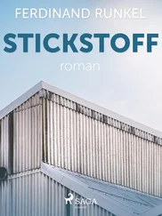 Ferdinand Runkel - Stickstoff
