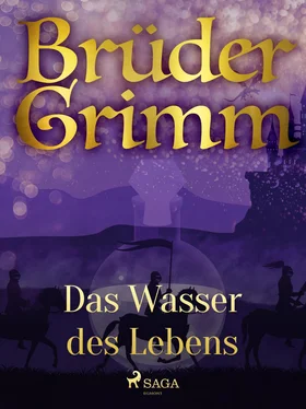 Brüder Grimm Das Wasser des Lebens обложка книги