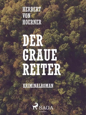 Herbert von Hoerner Der graue Reiter обложка книги