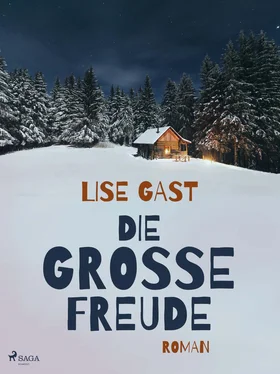 Lise Gast Die grosse Freude обложка книги