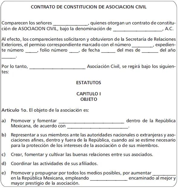 Manual práctico de sociedades y asociaciones civiles 2020 - фото 13