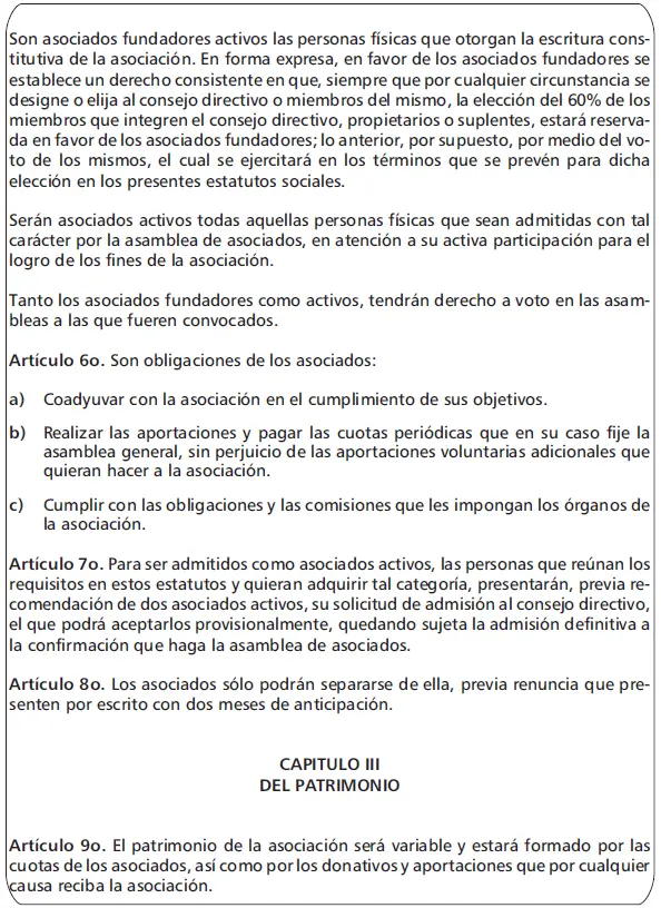 Manual práctico de sociedades y asociaciones civiles 2020 - фото 15
