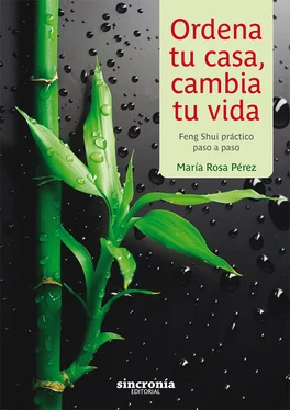María Rosa Pérez Ordena tu casa, cambia tu vida обложка книги