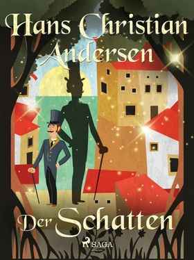 Hans Christian Der Schatten обложка книги