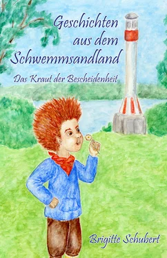 Brigitte Schubert Geschichten aus dem Schwemmsandland обложка книги