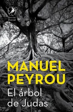 Manuel Peyrou El árbol de Judas обложка книги